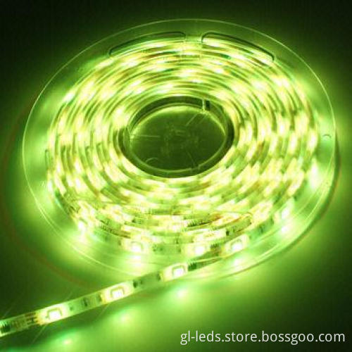 UL-certified 5050 SMD IP65 Flexible LED Strip